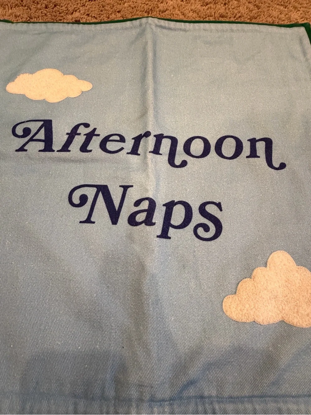 New Anthropologie Afternoon Naps pillow cover Blue clouds bird